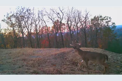 Tbd Carriage House Trail, McGrady, NC 28649 - Photo 9