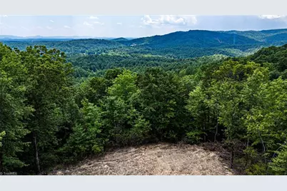 Tbd Carriage House Trail, McGrady, NC 28649 - Photo 3