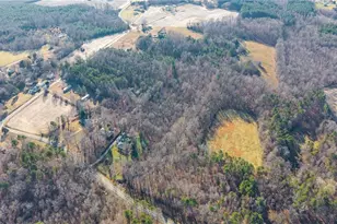 4244 Alamance Church Rd, Liberty, NC 27298 - Photo 25