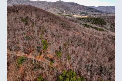 Tbd Ivy Green Trail, Lowgap, NC 27024 - Photo 7