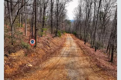 Tbd Ivy Green Trail, Lowgap, NC 27024 - Photo 3