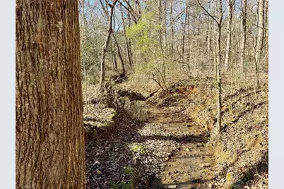 4202 Beaumont Drive, Sophia, NC 27350 - Photo 23