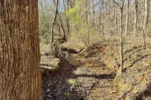 4202 Beaumont Dr, Sophia, NC 27350 - Photo 23