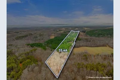 0 Doug Stanley Road, Sandy Ridge, NC 27046 - Photo 1