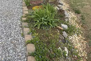 220 Circle St, Millers Creek, NC 28651 - Photo 43