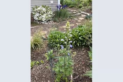 220 Circle Street, Millers Creek, NC 28651 - Photo 45