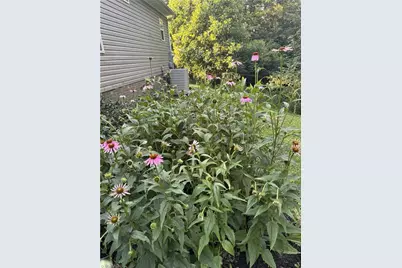 220 Circle Street, Millers Creek, NC 28651 - Photo 49