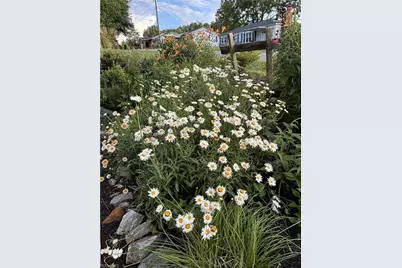 220 Circle Street, Millers Creek, NC 28651 - Photo 47