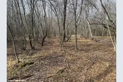 359 Rc Road, Traphill, NC 28685 - Photo 11