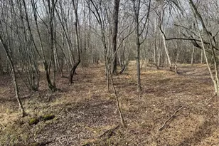 359 Rc Rd, Traphill, NC 28685 - Photo 11