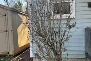 707 W Terrell St, Greensboro, NC 27406 - Photo 3