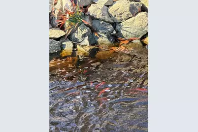 1126 Briggstown Road, Lexington, NC 27292 - Photo 13