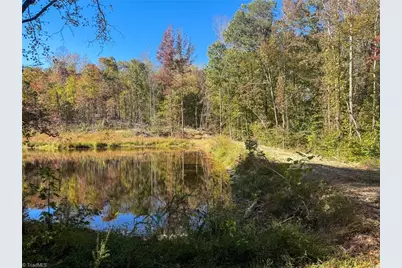 979 Perkinson Road, Ruffin, NC 27326 - Photo 35
