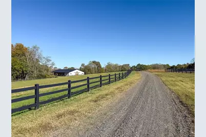 979 Perkinson Road, Ruffin, NC 27326 - Photo 5