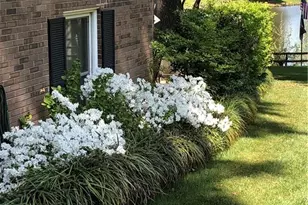 5610 Fleming Terrace Rd, Greensboro, NC 27410 - Photo 49