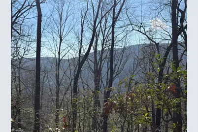 Tbd W US Highway 421, Purlear, NC 28665 - Photo 17