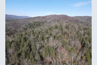 Tbd W US Highway 421, Purlear, NC 28665 - Photo 27