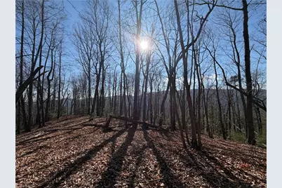 Tbd W US Highway 421, Purlear, NC 28665 - Photo 23