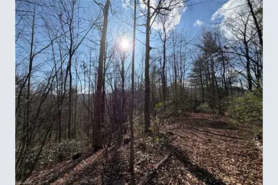 Tbd W US Highway 421, Purlear, NC 28665 - Photo 19