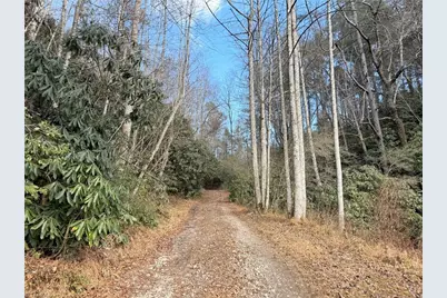 Tbd W US Highway 421, Purlear, NC 28665 - Photo 11