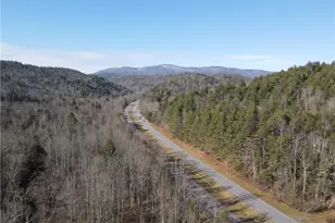 Tbd W US Hwy 421, Purlear, NC 28665 - Photo 1