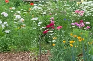 1609 Underpass Rd, Advance, NC 27006 - Photo 43