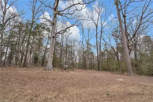 7079 Ossie Hayes Rd, Seagrove, NC 27341 - Photo 23