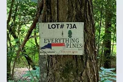 141/142 Western Trail, Carthage, NC 28327 - Photo 11