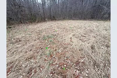 731 Pallie Watlington Road, Yanceyville, NC 27379 - Photo 27