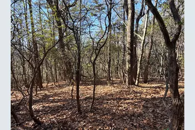 Lot 27 Bobcat Mountain Road, Purlear, NC 28665 - Photo 3