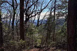 Lot 27 Bobcat Mountain Rd, Purlear, NC 28665 - Photo 1