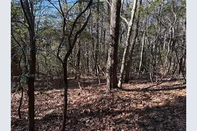 Lot 27 Bobcat Mountain Road, Purlear, NC 28665 - Photo 13