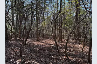 Lot 27 Bobcat Mountain Road, Purlear, NC 28665 - Photo 11