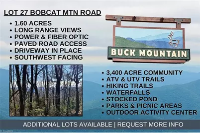 Lot 27 Bobcat Mountain Road, Purlear, NC 28665 - Photo 1