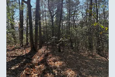 Lot 27 Bobcat Mountain Road, Purlear, NC 28665 - Photo 15