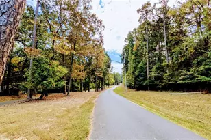 117 Delwood Ct, Mount Gilead, NC 27306 - Photo 29