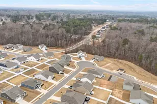 166 Vega Loop, Sanford, NC 27330 - Photo 47