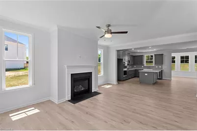 8605 Lemur Lane, Summerfield, NC 27358 - Photo 13