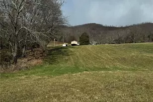 12544 Traphill Rd, Traphill, NC 28685 - Photo 49