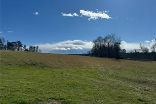 12544 Traphill Rd, Traphill, NC 28685 - Photo 47