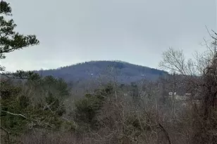 12544 Traphill Rd, Traphill, NC 28685 - Photo 35