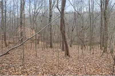 8011 Homestead Farm Road, Belews Creek, NC 27009 - Photo 5