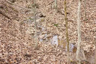 865 Armory Rd, North Wilkesboro, NC 28659 - Photo 35