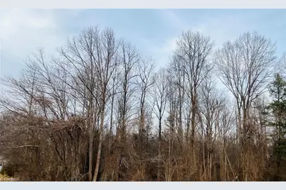 000 Union Hill Road, Thurmond, NC 28683 - Photo 9