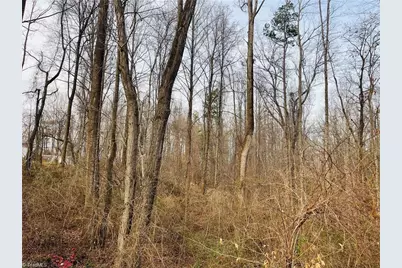 000 Union Hill Road, Thurmond, NC 28683 - Photo 5