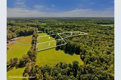 8112 Hilltop Farms Drive, Lewisville, NC 27023 - Photo 5