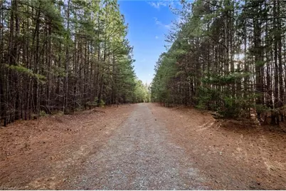 10.75 Acres Neals Store Road, Roxboro, NC 27574 - Photo 11