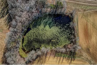 00 Ol Road, Reidsville, NC 27320 - Photo 13