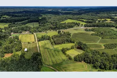 00 Ol Road, Reidsville, NC 27320 - Photo 17