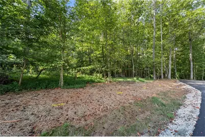 8126 Hilltop Farms Drive, Lewisville, NC 27023 - Photo 7